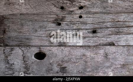 Anciennes planches de bois abîmés avec des trous Banque D'Images