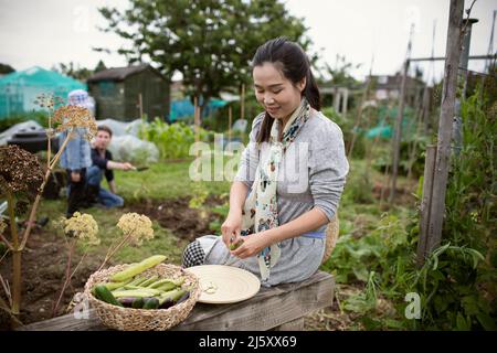 Femme souriante décorant des grains de beurre dans un jardin potager Banque D'Images