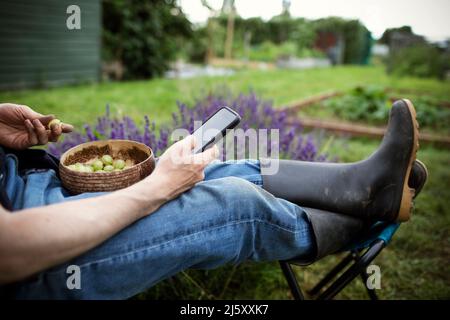 Homme mangeant des groseilles à maquereau et utilisant un smartphone dans le jardin Banque D'Images