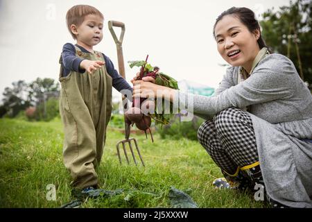 Portrait bonne mère et fils récolte des betteraves dans le jardin Banque D'Images