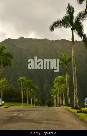 Chemin d'entrée bordé de palmiers vers le parc mémorial et cimetière de la Vallée des temples, montagnes Ko'olau en arrière-plan, sur l'île d'Oahu, Hawaï, États-Unis Banque D'Images