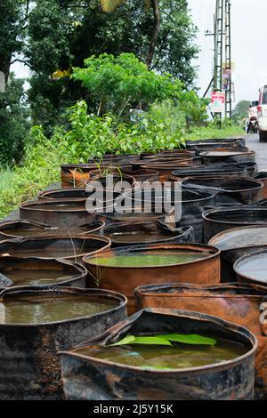 L'eau est stockée dans de grandes canettes. Concept - utilisation de l'eau. Banque D'Images