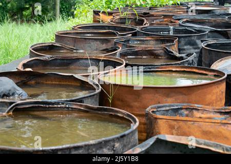 L'eau est stockée dans de grandes canettes. Concept - utilisation de l'eau. Banque D'Images