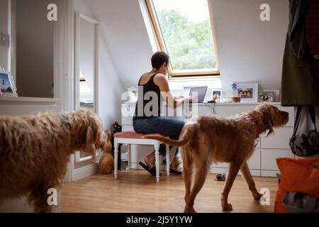 Chiens marchant près d'une femme travaillant à la maison à l'ordinateur portable Banque D'Images