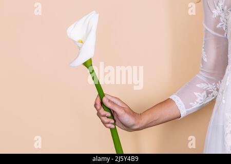 Croiser la femelle anonyme dans élégant blanc robe de mariage tenant la fleur de Zantedeschia avec pétale blanc sur fond beige dans studio léger Banque D'Images