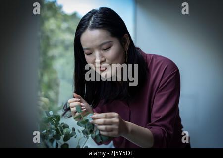 Jeune femme inspectant les feuilles de la maison Banque D'Images