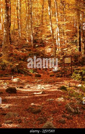 Chemin menant à la grotte où vivait Ivan de Rila, près du monastère de Rila, Bulgarie 2021 Banque D'Images