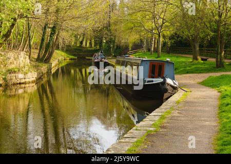 Des barques de Narrowboats s'amarraient sur une partie calme et verdoyante du canal de Llangollen dans le bassin de Trevor, à l'aqueduc de Froncysylte, sur le réseau de voies navigables intérieures Banque D'Images