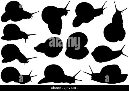 Collection de différentes silhouettes d'escargot isolées sur blanc Banque D'Images