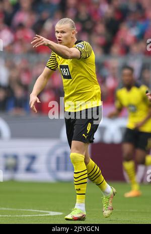 Erling Haaland de Borussia Dortmund Muenchen Munich , Allemagne 23.4.2022 FC Bayern Muenchen Borussia Dortmund football Fussball Bundesliga saison 2021 / 2022 à l'Allianz Arena © diebilderwelt / Alamy stock Banque D'Images