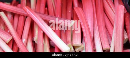 Arrière-plan plein cadre de morceaux de rhubarbe rose rouge Banque D'Images