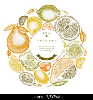 Motif couronne aux agrumes. Kumquat dessiné à la main, citron, tangelo, etc Illustration de Vecteur