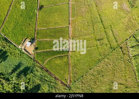 Point de vue de drone du champ de palettes Banque D'Images