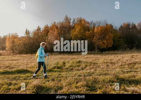 Femme âgée avec bâtons de randonnée pédestre à pied dans la campagne. Prise de vue en longueur d'une femme de randonnée en train de pratiquer la marche nordique le jour d'automne ensoleillé. Banque D'Images