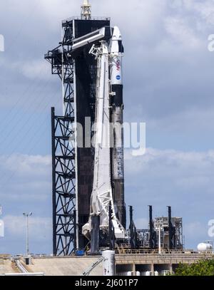 Cape Canaveral, États-Unis. 26th avril 2022. Un Falcon SpaceX 9 se prépare à lancer la mission Crew-4 de la NASA à partir du Launch Complex 39A au Kennedy Space Center, en Floride, le mardi 26 avril 2022. Le sauvetage est prévu pour 352 h le mercredi 27 avril 2022. Trois astronautes de la NASA et un astronaute de l'Agence spatiale européenne (ESA) s'envoleront vers la Station spatiale internationale. Photo de Pat Benic/UPI crédit: UPI/Alay Live News Banque D'Images