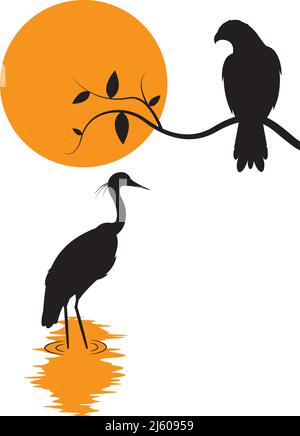 Oiseau de faucon sur la branche et silhouette héron sur le coucher du soleil, vecteur. Illustration d'oiseau Hawk isolée sur fond blanc. Art mural, illustrations, décalques muraux Illustration de Vecteur