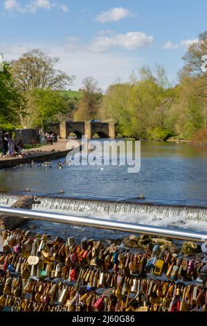 Locks d'amour sur le pont de Weir, au-dessus de la rivière Wye, Bakewell, Derbyshire, Angleterre Banque D'Images