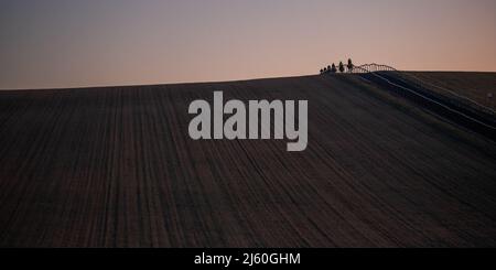 Les chevaux de course s'entraîner à l'aube aux gallops au-dessus de Upper Lambourn dans les Berkshire Downs. Avril 2022 Banque D'Images