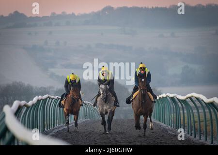 Les chevaux de course s'entraîner à l'aube aux gallops au-dessus de Upper Lambourn dans les Berkshire Downs. Avril 2022 Banque D'Images