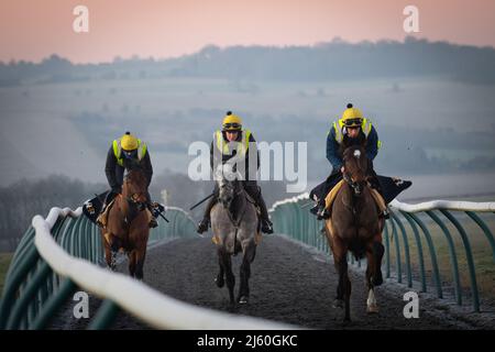 Les chevaux de course s'entraîner à l'aube aux gallops au-dessus de Upper Lambourn dans les Berkshire Downs. Avril 2022 Banque D'Images