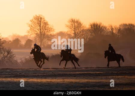 Les chevaux de course s'entraîner à l'aube aux gallops au-dessus de Upper Lambourn dans les Berkshire Downs. Avril 2022 Banque D'Images