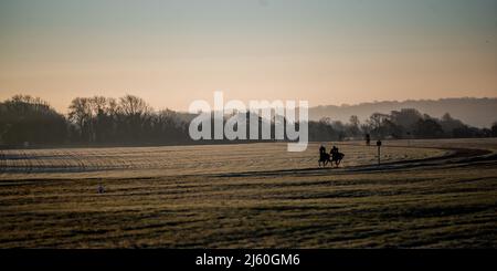 Les chevaux de course s'entraîner à l'aube aux gallops au-dessus de Upper Lambourn dans les Berkshire Downs. Avril 2022 Banque D'Images