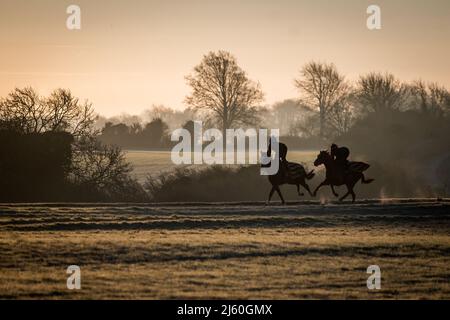 Les chevaux de course s'entraîner à l'aube aux gallops au-dessus de Upper Lambourn dans les Berkshire Downs. Avril 2022 Banque D'Images