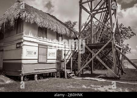 Muyil Mexique 02. Février 2022 ancienne photo en noir et blanc de vue panoramique sur le lagon de Muyil dans la forêt tropicale de la jungle nature avec des gens de bateaux Banque D'Images