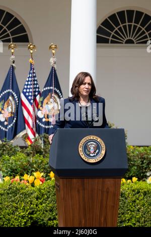 Washington, États-Unis. 11th avril 2022. Photo du dossier prise le 11 avril 2022 montre le vice-président américain Kamala Harris assister à un événement à la Maison Blanche à Washington, DC, aux États-Unis. Harris a été testée positive pour COVID-19 lors de tests rapides et PCR le 26 avril, a déclaré son porte-parole. Credit: Liu Jie/Xinhua/Alay Live News Banque D'Images