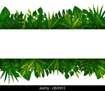 Bandeau horizontal à feuilles de palmier tropical de style plat. Bordure d'été de la jungle de feuillage exotique. Carte design spa salon beauté cosmétiques excursion paradis voyage mariage vacances voyage modèle de présentation promo Illustration de Vecteur