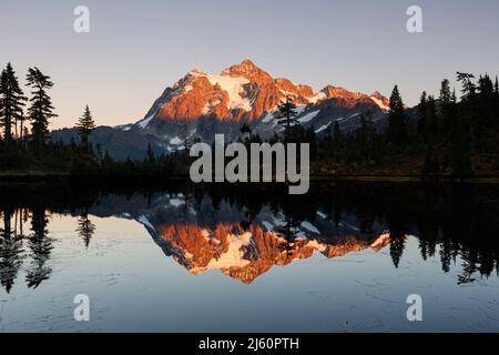 WA21463-00...WASHINGTON - le soleil couchant donnant la lueur du mont Shuksan qui se reflète dans Picture Lake à Heather Meadows, une partie du mont Baker-Snoqualmie nationale Banque D'Images