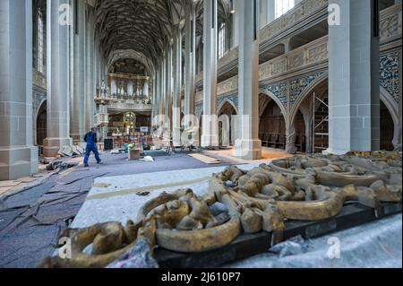 25 avril 2022, Saxe-Anhalt, Halle (Saale): Vue sur la nef, où les travaux de construction seront bientôt achevés. Pendant des mois, l'église 'Unser lieben Frauen' était un grand chantier de construction. Dans le cadre du concept du FEDER, le lieu de culte a été rénové en fonction de son statut de monument historique. Le Marktkirche à Halle est l'un des sites les plus visités et l'un des plus importants bâtiments de l'église gothique tardif de Saxe-Anhalt. Photo: Heiko Rebsch/dpa Banque D'Images