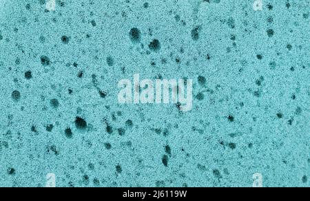 Texture détaillée éponge verte, fond de texture éponge. Photo de haute qualité Banque D'Images
