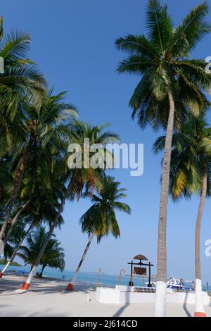 Île de Bangaram, Lakshadweep, Inde. Beauté naturelle de l'île avec sable blanc et eau de mer claire. Banque D'Images