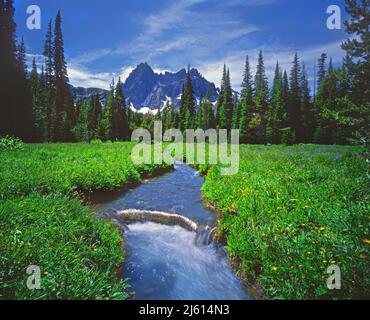 Three Fingered Jack de Canyon Creek Meadow, Cascade Range, Oregon Banque D'Images