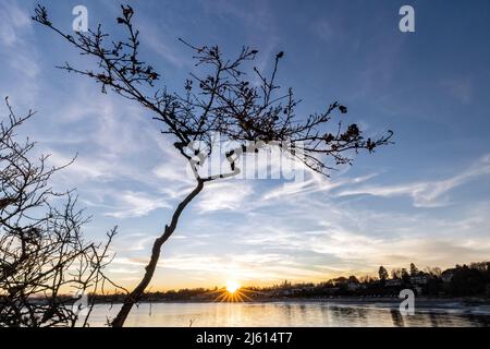 Coucher de soleil sur Willows Beach près du parc Uplands à Oak Bay - Victoria, île de Vancouver, Colombie-Britannique, Canada Banque D'Images