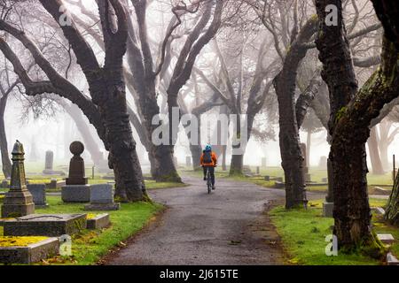 Cycliste au cimetière de Ross Bay - Victoria, île de Vancouver, Colombie-Britannique, Canada Banque D'Images