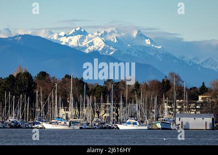 Oak Bay Marina avec les montagnes Olympic en arrière-plan, Oak Bay - près de Victoria, île de Vancouver, Colombie-Britannique, Canada Banque D'Images