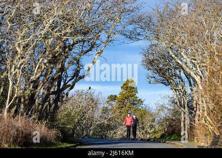 Les gens font du jogging dans le parc Uplands à Oak Bay, près de Victoria, île de Vancouver, Colombie-Britannique, Canada Banque D'Images