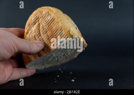 Un homme tient un morceau de pain moldy sur un fond noir. Main d'un homme cultivé avec un morceau de pain de blé rassis. Banque D'Images