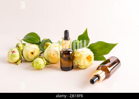Deux flacons compte-gouttes en verre avec produit cosmétique naturel pour le visage et le corps. Cosmétiques actifs uniques. Fond pastel Banque D'Images