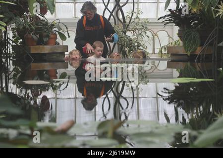 San Francisco, États-Unis. 26th avril 2022. Les gens visitent le Conservatoire des fleurs au Golden Gate Park à San Francisco, aux États-Unis, le 26 avril 2022. Credit: Liu Yilin/Xinhua/Alay Live News Banque D'Images