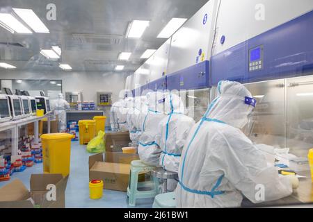 HAIAN, CHINE - le 27 AVRIL 2022 - le personnel médical effectue des tests d'acides nucléiques sur des échantillons d'acides nucléiques à la base d'analyse des acides nucléiques en milieu urbain de HaiAn City, Banque D'Images