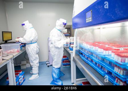 HAIAN, CHINE - le 27 AVRIL 2022 - le personnel médical trie les échantillons d'acides nucléiques livrés à partir de divers sites d'échantillonnage de la base d'analyse des acides nucléiques urbains i Banque D'Images