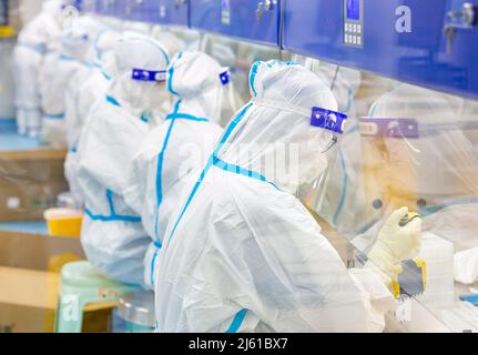 HAIAN, CHINE - le 27 AVRIL 2022 - le personnel médical effectue des tests d'acides nucléiques sur des échantillons d'acides nucléiques à la base d'analyse des acides nucléiques en milieu urbain de HaiAn City, Banque D'Images