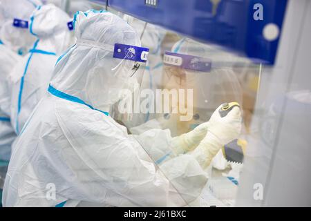 HAIAN, CHINE - le 27 AVRIL 2022 - le personnel médical trie les échantillons d'acides nucléiques livrés à partir de divers sites d'échantillonnage de la base d'analyse des acides nucléiques urbains i Banque D'Images