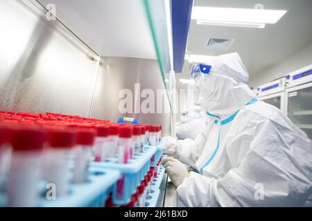 HAIAN, CHINE - le 27 AVRIL 2022 - le personnel médical trie les échantillons d'acides nucléiques livrés à partir de divers sites d'échantillonnage de la base d'analyse des acides nucléiques urbains i Banque D'Images