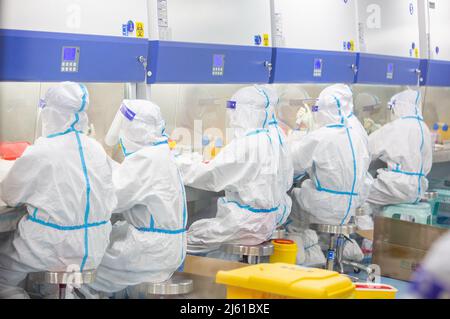 HAIAN, CHINE - le 27 AVRIL 2022 - le personnel médical effectue des tests d'acides nucléiques sur des échantillons d'acides nucléiques à la base d'analyse urbaine des acides nucléiques de la ville de HaiAn, Banque D'Images