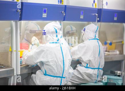 HAIAN, CHINE - le 27 AVRIL 2022 - le personnel médical effectue des tests d'acides nucléiques sur des échantillons d'acides nucléiques à la base d'analyse urbaine des acides nucléiques de la ville de HaiAn, Banque D'Images