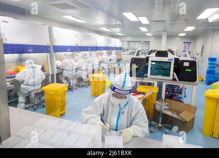 HAIAN, CHINE - le 27 AVRIL 2022 - le personnel médical effectue des tests d'acides nucléiques sur des échantillons d'acides nucléiques à la base d'analyse des acides nucléiques en milieu urbain de HaiAn City, Banque D'Images